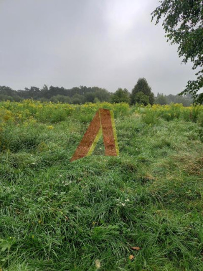W obecnym planie rolna - Kleszczów   -
Małopolskie Zdjęcie nr 2