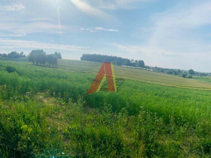 84 arowa budowlano rolna - Wroniec   -
Małopolskie Zdjęcie nr 1
