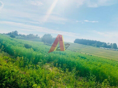 84 arowa budowlano rolna - Wroniec   -
Małopolskie Zdjęcie nr 4