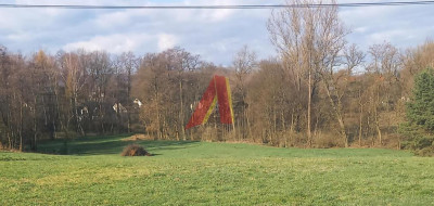 Możliwa zabudowa wolnostojaca lub bliźniacza - Olszanica   -
Małopolskie Zdjęcie nr 3