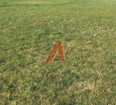 30 AROWA GRANICZĄCA Z PARKIEM KRAJOBRAZOWYM - Tomaszowice  -
Małopolskie Zdjęcie nr 8