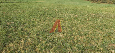 30 AROWA GRANICZĄCA Z PARKIEM KRAJOBRAZOWYM - Tomaszowice  -
Małopolskie Zdjęcie nr 9