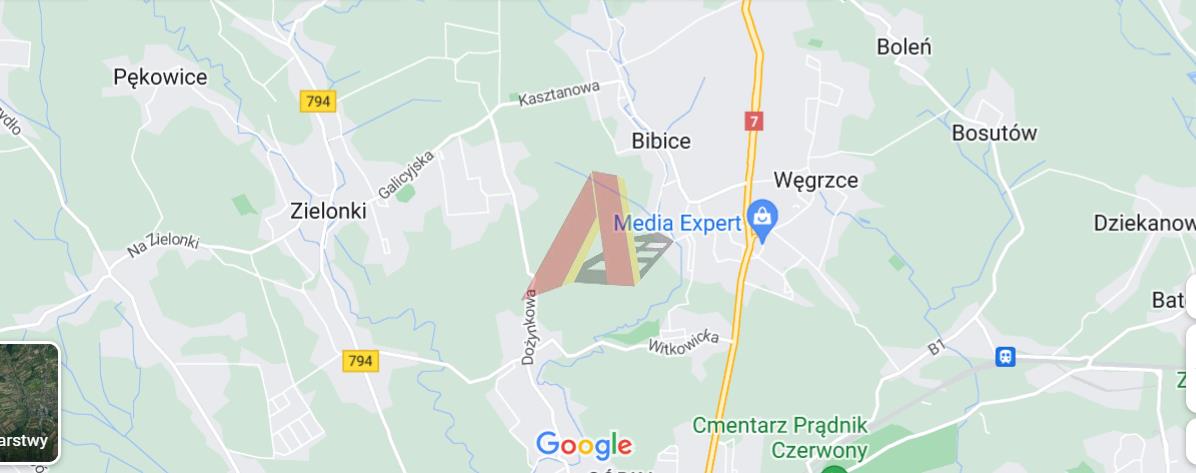 W OBECNYM PLANIE ROLNA - Witkowice   -
Małopolskie Zdjęcie nr 1