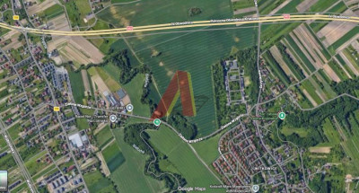 W OBECNYM PLANIE ROLNA - Witkowice  -
Małopolskie Zdjęcie nr 11