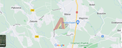 W OBECNYM PLANIE ROLNA - Witkowice   -
Małopolskie