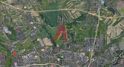 W OBECNYM PLANIE ROLNA - Witkowice  -
Małopolskie Zdjęcie nr 7