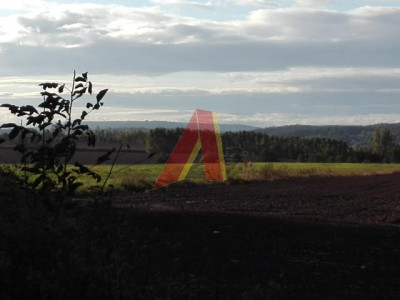 WIDOKOWA - Bolechowice   -
Małopolskie Zdjęcie nr 10