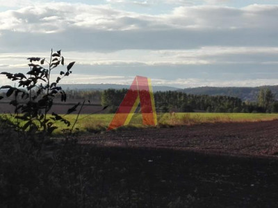 WIDOKOWA - Bolechowice   -
Małopolskie Zdjęcie nr 11