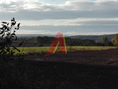 WIDOKOWA - Bolechowice   -
Małopolskie Zdjęcie nr 12