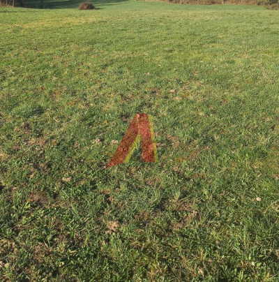 BUDOWLANA  PRAWIE KWADRATOWA  - Bolechowice   -
Małopolskie Zdjęcie nr 7