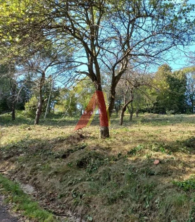 POD REZYDENCJĘ usługi i mieszkania - KONARY   -
Małopolskie Zdjęcie nr 8