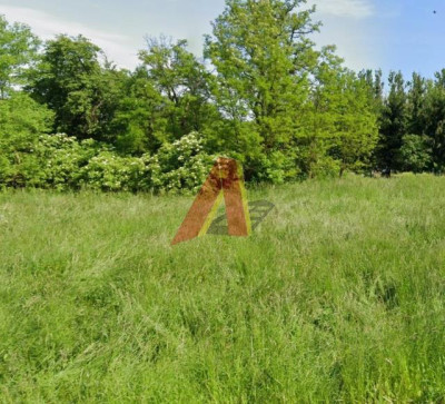 Działka usługowa - PRZYLASEK RUSIECKI   -
Małopolskie