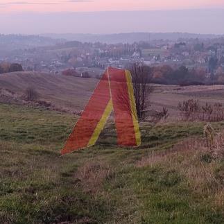 9 HEKTARÓW POD OSIEDLE PRAWIE 80 DOMÓW - Raciborsko   -
Małopolskie Zdjęcie nr 3