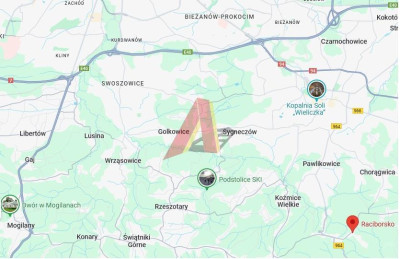 9 HEKTARÓW POD OSIEDLE PRAWIE 80 DOMÓW - Raciborsko   -
Małopolskie Zdjęcie nr 6