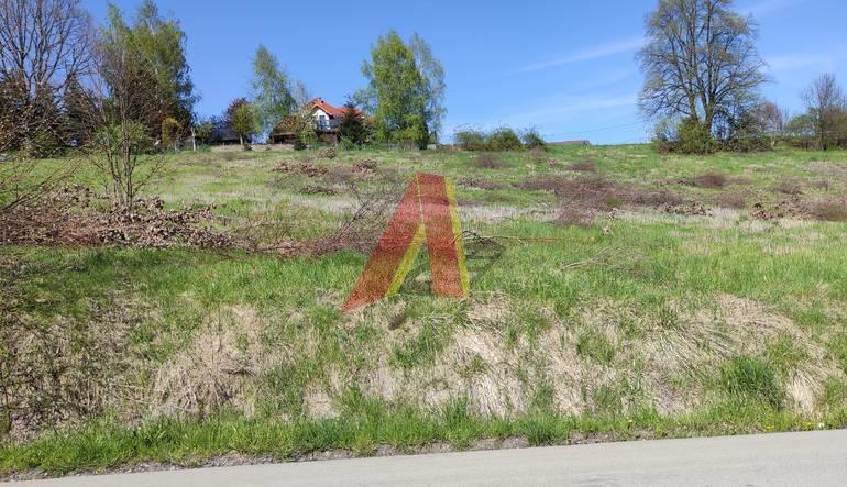 Działka 58ar stok południowy - Sygneczów   -
Małopolskie Zdjęcie nr 1