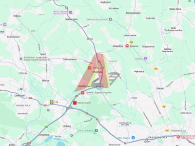 UZBROJONA PŁASKA SZEROKA - Giebułtów   -
Małopolskie