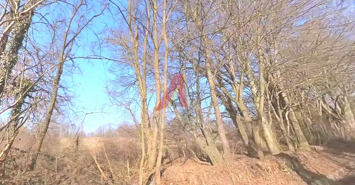Działka budowlana - Lusina   -
Małopolskie Zdjęcie nr 1