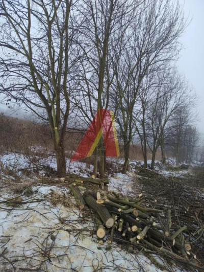 DZIAŁKA ZAGRODOWA DO ZABUDOWY PRZEZ ROLNIKA - Brzoskwinia  -
Małopolskie Zdjęcie nr 11