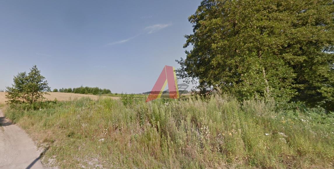 ROLNA  PÓŁ HEKTARA - Modlnica  -
Małopolskie Zdjęcie nr 1