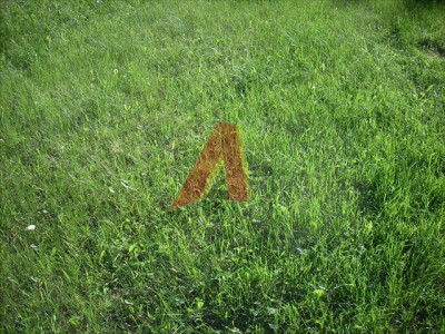 kilka domów z usługami - Skotniki   -
Małopolskie Zdjęcie nr 4