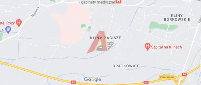 DZIAŁKA KLINY - Kliny   - Małopolskie
