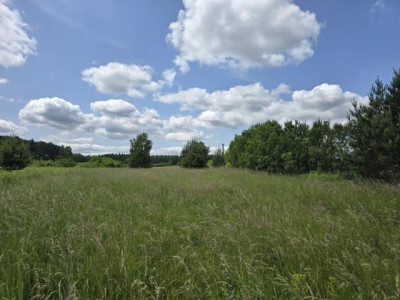 Działka budowlana - Okradzionów  -
Śląskie Zdjęcie nr 2