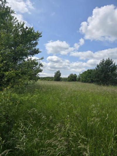 Działka budowlana - Okradzionów  -
Śląskie Zdjęcie nr 4