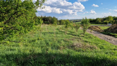 Działka budowlana - Sadowie  -
Śląskie Zdjęcie nr 5