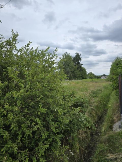 Działka budowlana - Zendek  -
Śląskie Zdjęcie nr 2