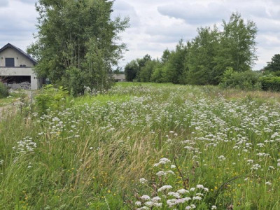 Działka budowlana - Zendek  -
Śląskie Zdjęcie nr 5