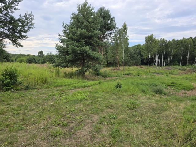 Działka budowlana - Przeczyce   -
Śląskie Zdjęcie nr 1