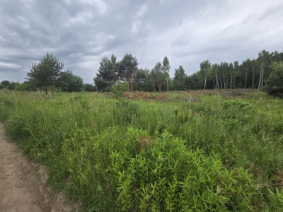 Działka budowlana - Przeczyce   -
Śląskie Zdjęcie nr 2