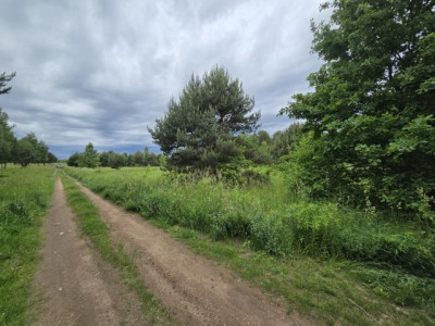 Działka budowlana - Przeczyce   -
Śląskie Zdjęcie nr 3