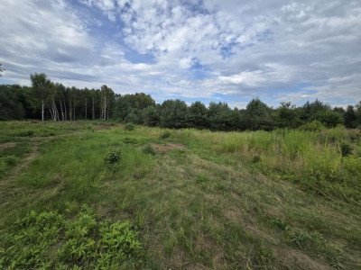 Działka budowlana - Przeczyce   -
Śląskie Zdjęcie nr 4