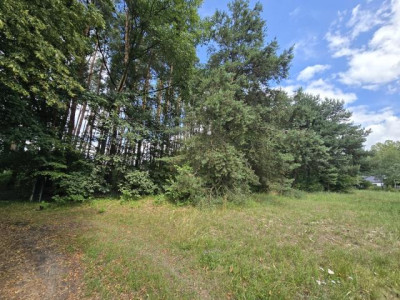 Działka budowlana - Ożarowice  -
Śląskie Zdjęcie nr 5