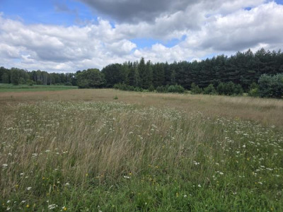 Działka budowlana - Ożarowice  -
Śląskie Zdjęcie nr 6