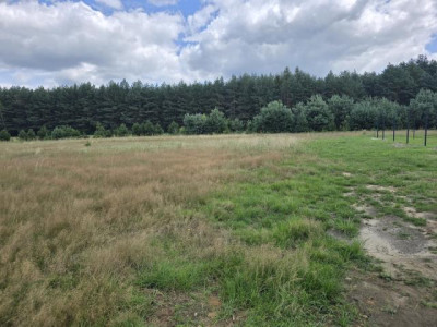 Działka budowlana - Ożarowice  -
Śląskie Zdjęcie nr 7