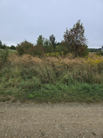 Działka budowlana - Góra Siewierska  -
Śląskie Zdjęcie nr 3