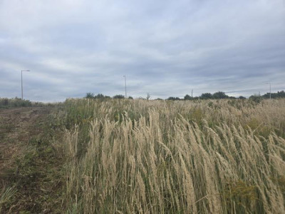 Działka budowlana - Poręba  -
Śląskie Zdjęcie nr 5