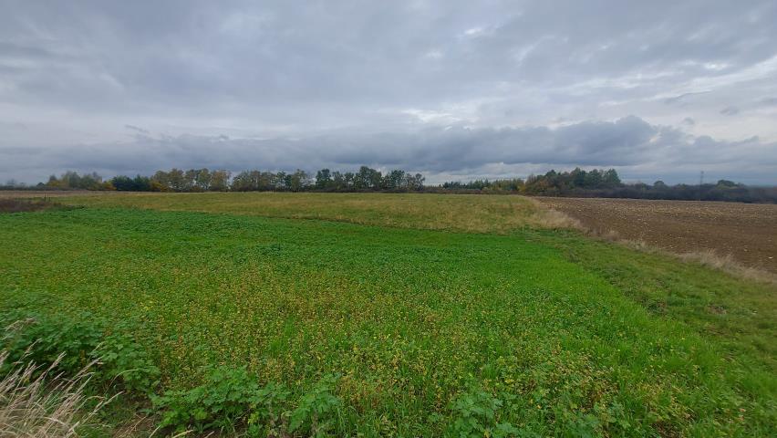 Działka rolno-budowlana - Góra Siewierska  -
Śląskie Zdjęcie nr 1