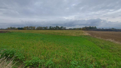 Działka rolno-budowlana - Góra Siewierska  - Śląskie