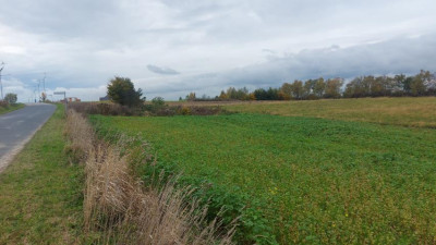 Działka rolno-budowlana - Góra Siewierska  -
Śląskie Zdjęcie nr 2