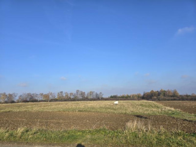 Działka rolno-budowlana - Góra Siewierska  -
Śląskie Zdjęcie nr 3