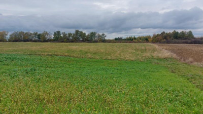 Działka rolno-budowlana - Góra Siewierska  -
Śląskie Zdjęcie nr 5