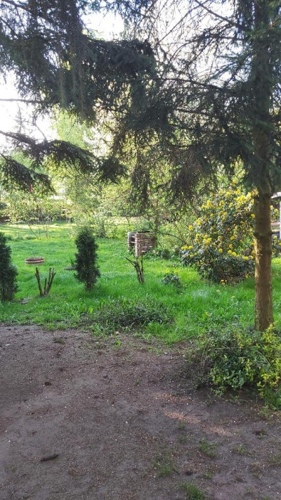 Działka budowlana - Wojkowice  -
Śląskie Zdjęcie nr 13