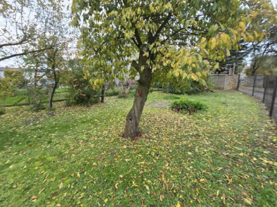 Działka budowlana - Rogoźnik  -
Śląskie Zdjęcie nr 9