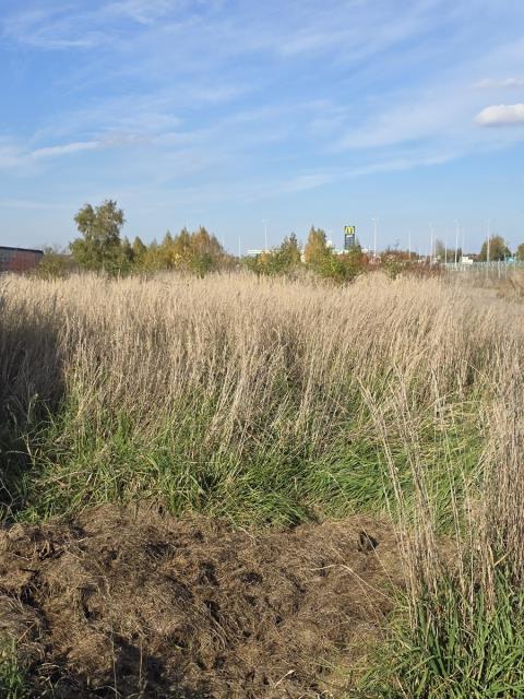 Działka budowlana - Ujejsce  -
Śląskie Zdjęcie nr 1