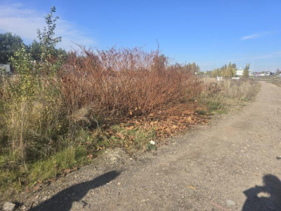 Działka budowlana - Ujejsce  -
Śląskie Zdjęcie nr 3