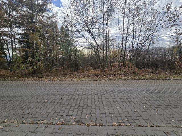 Działka budowlana - Brzękowice-Wał  -
Śląskie Zdjęcie nr 1