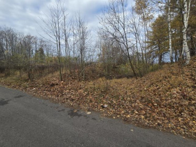 Działka budowlana - Brzękowice-Wał  -
Śląskie Zdjęcie nr 3